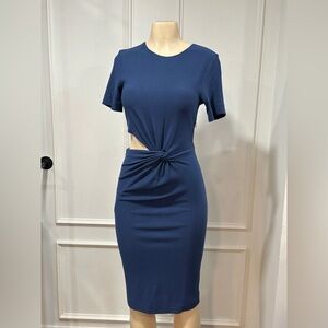 Babaton cutout dress